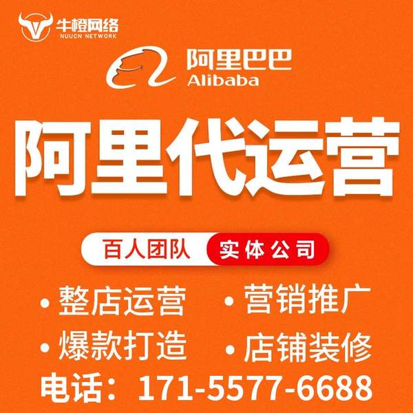 无为电商代运营