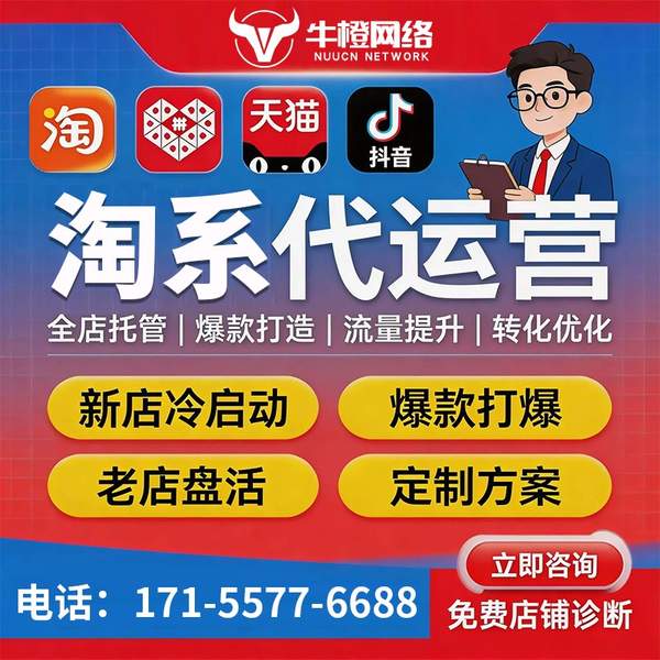 无为电商代运营
