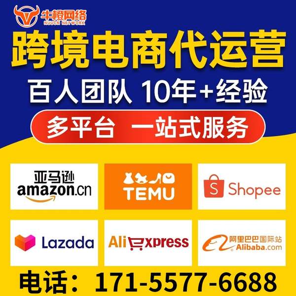 无为电商代运营