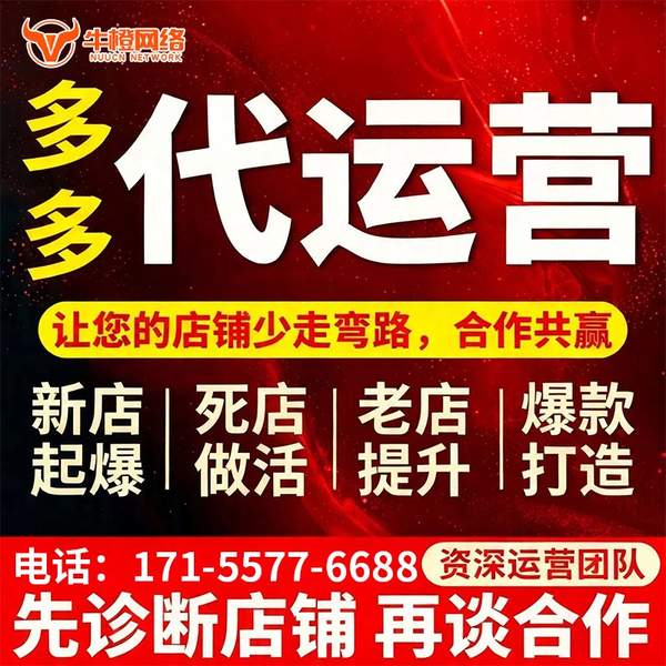 无为电商代运营