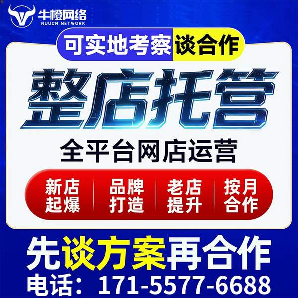 无为电商代运营
