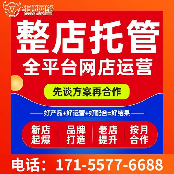无为电商代运营