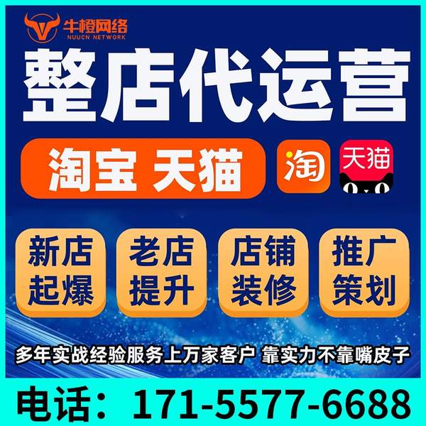 无为电商代运营