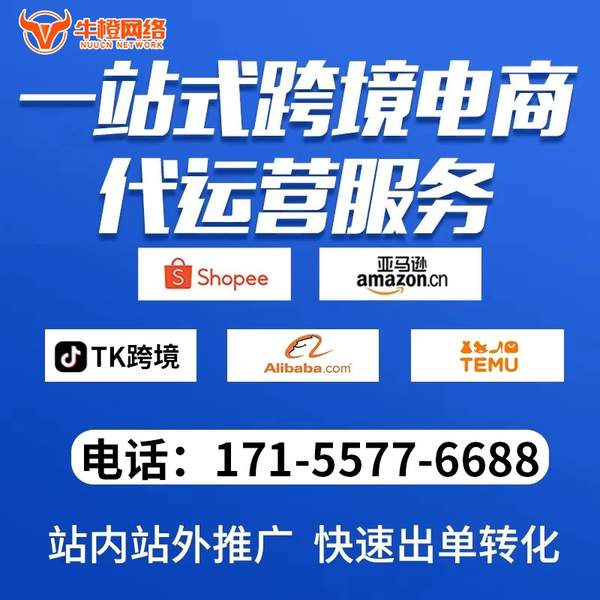 无为电商代运营