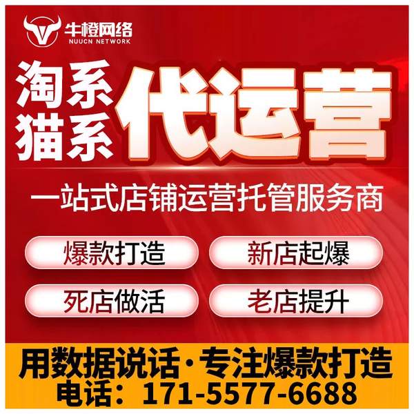 无为电商代运营